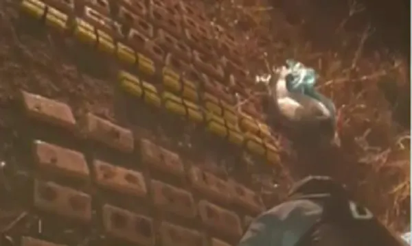 cocaínaaguasblancas