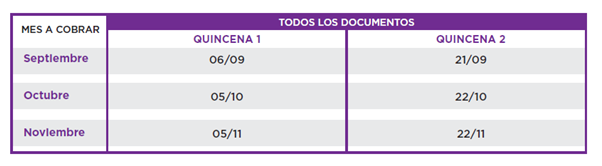 ASIGNACIONES DE PAGO ÚNICO