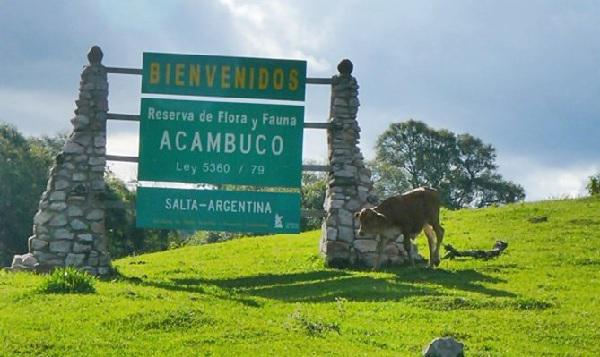 acambuco