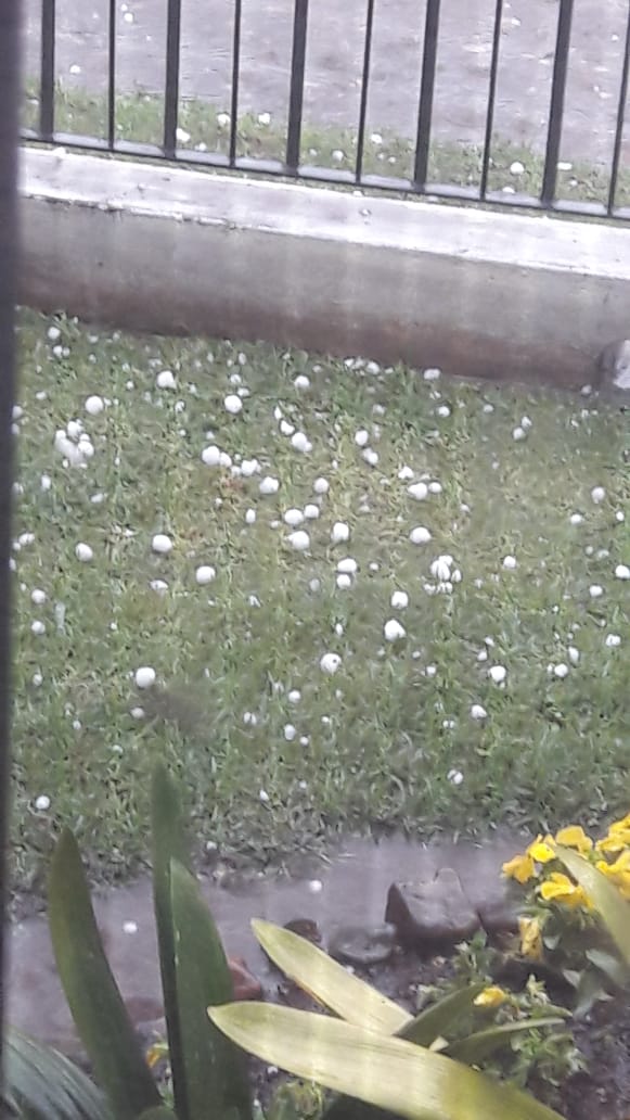 fotos granizo en salta (2)