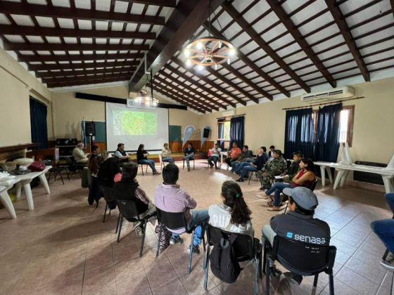 gripe aviar - trabajo salta