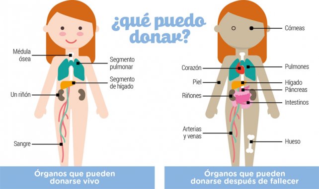 donación de organos foto