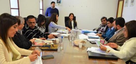 concejo- comision legislacion