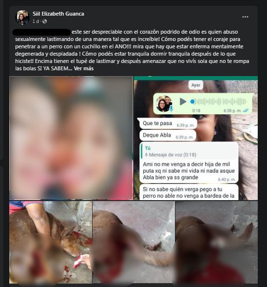 postero maltrato animal desenfoque