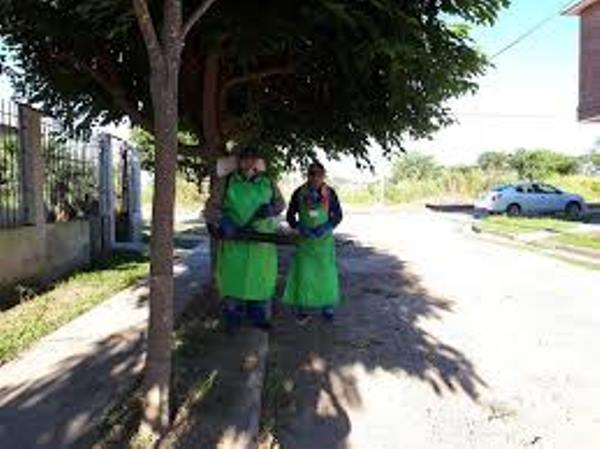 Imagen Ilustrativa Descacharrado falso por Dengue en Orán