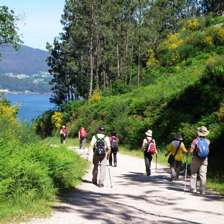 camino de santiago 2