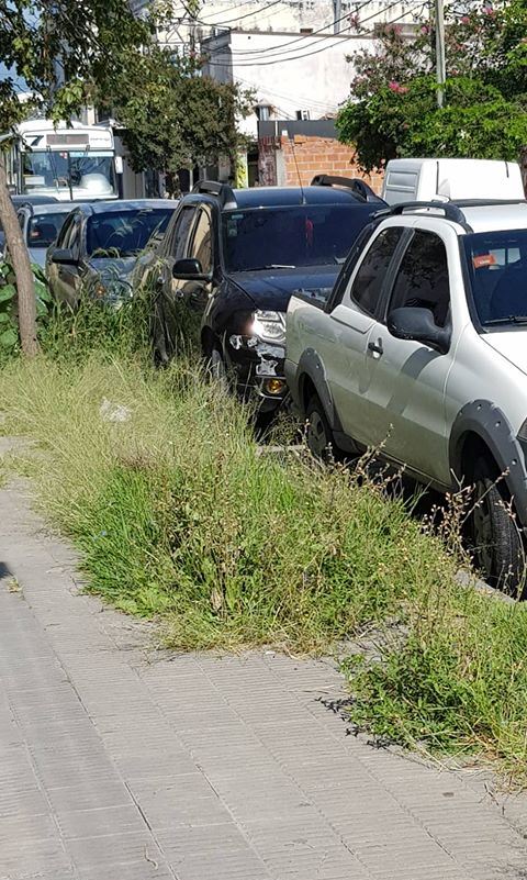 51405164_402476580299765_1903318506728849408_n