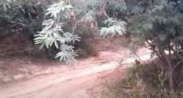 intentodefemicidiomoldes