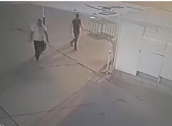 perritoatropelladoccm