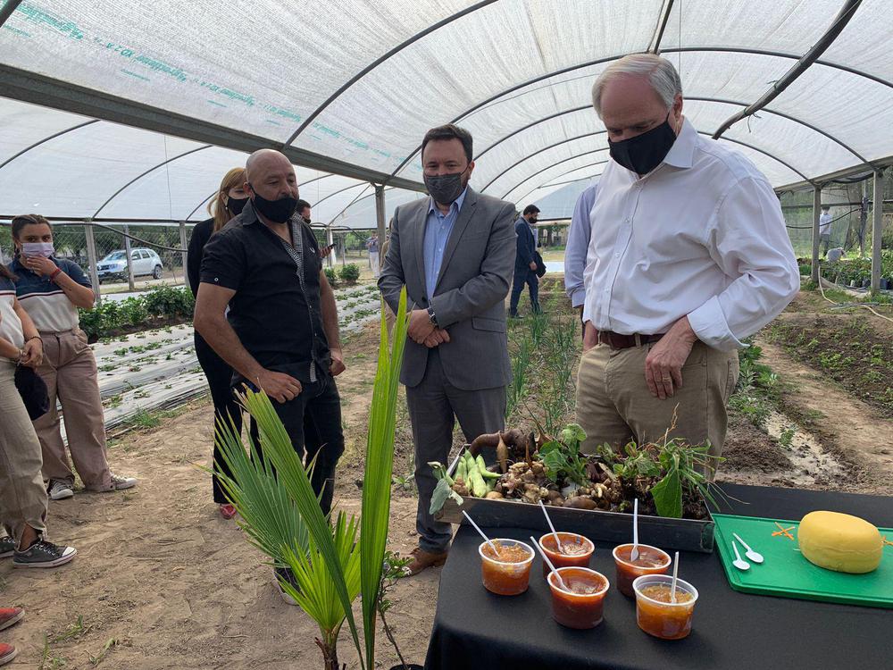 Escuela Agrícola - Educacion REMSA (1)