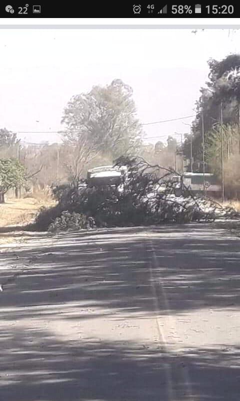 consecuencias del Viento Zonda2