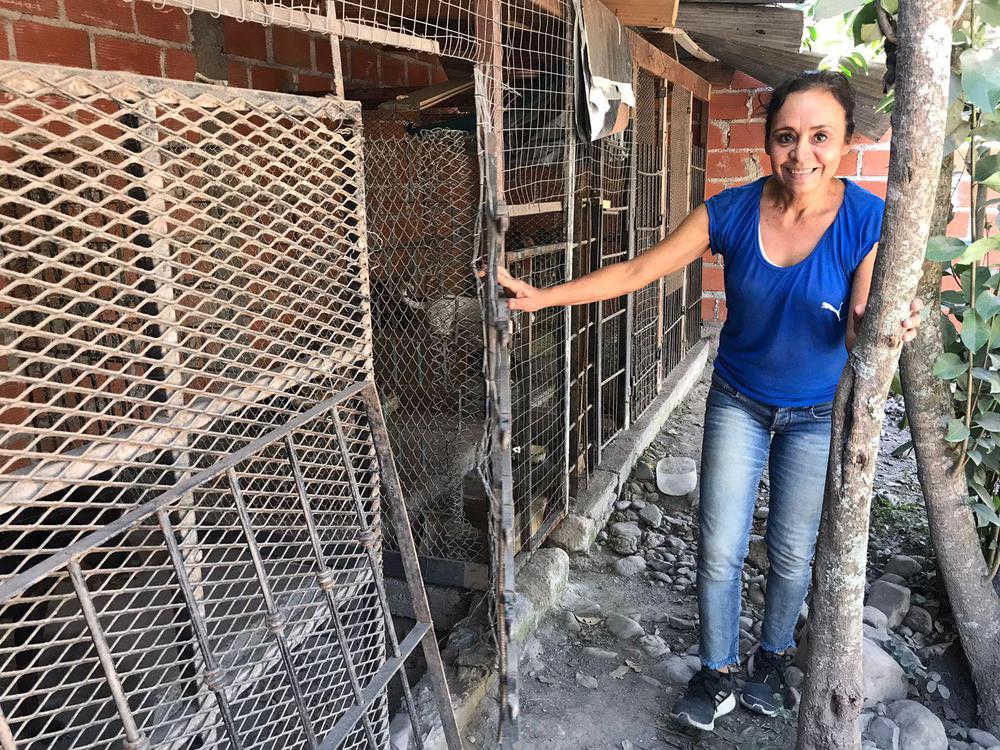 Movimiento de Luz (1)