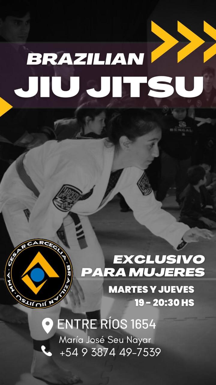 Jiu Jitsu 3