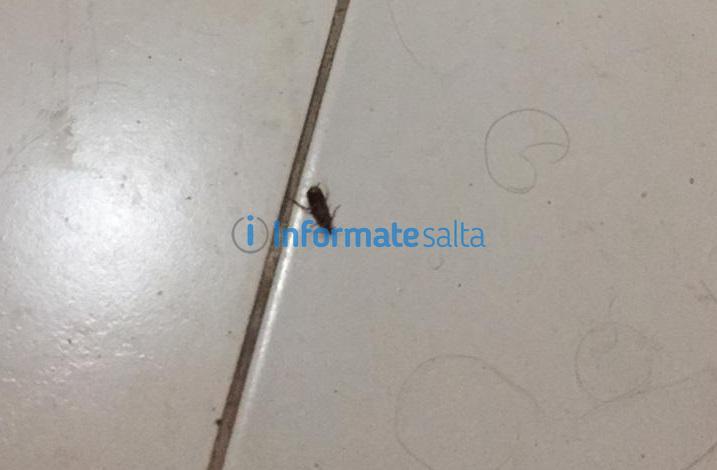 WhatsApp Image 2020-05-26 at 10.56.18