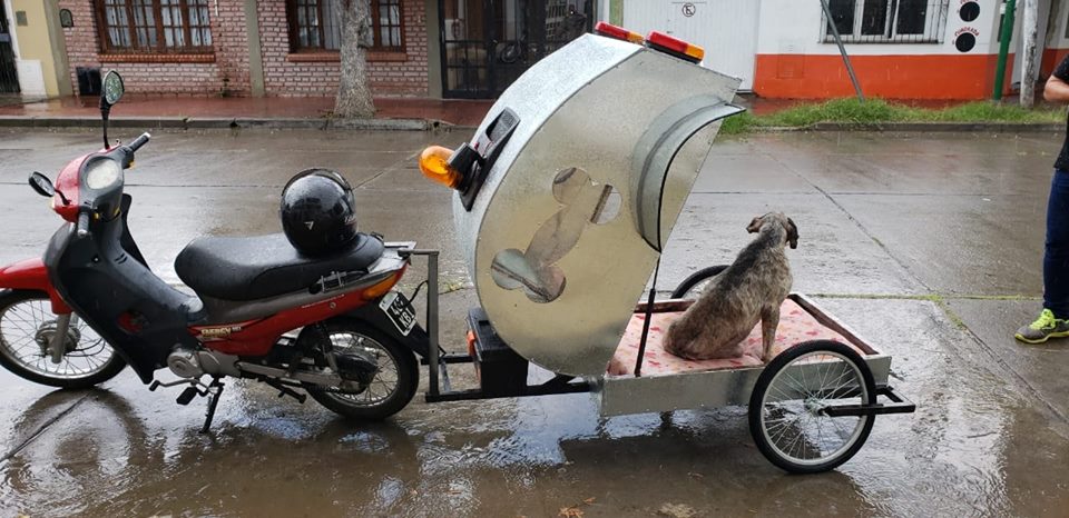 ambulancia para mascota