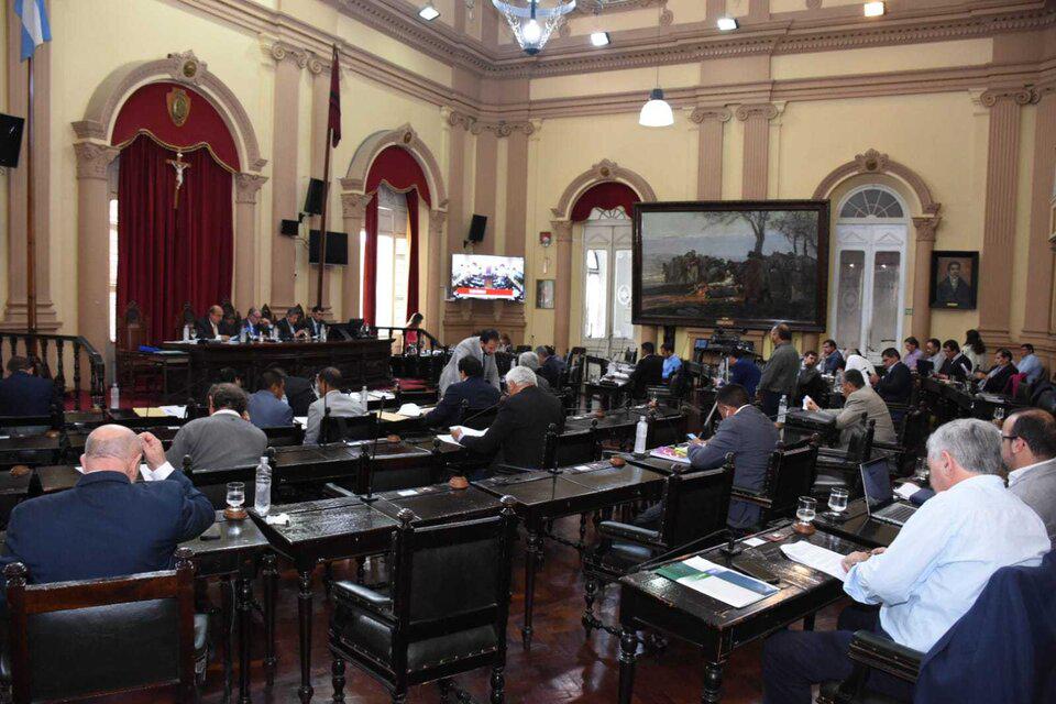 senadores recinto