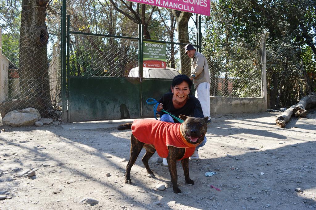 Adopción Día de los Enamorados 04