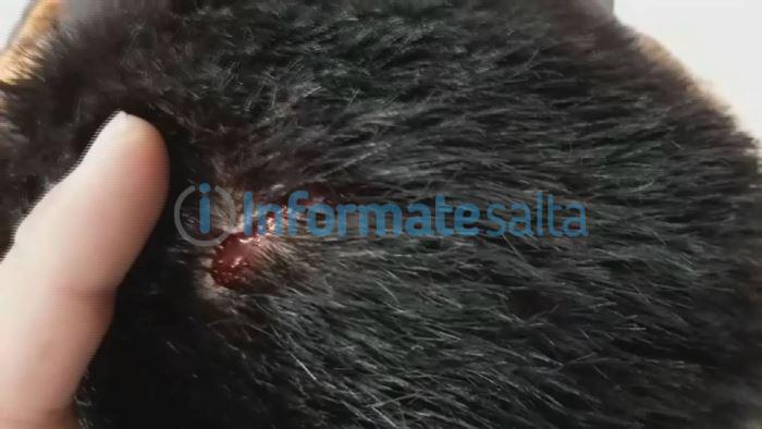 robo drugstore - herida en la cabeza