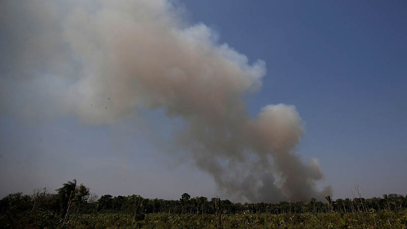 INCENDIO AMAZONAS 8