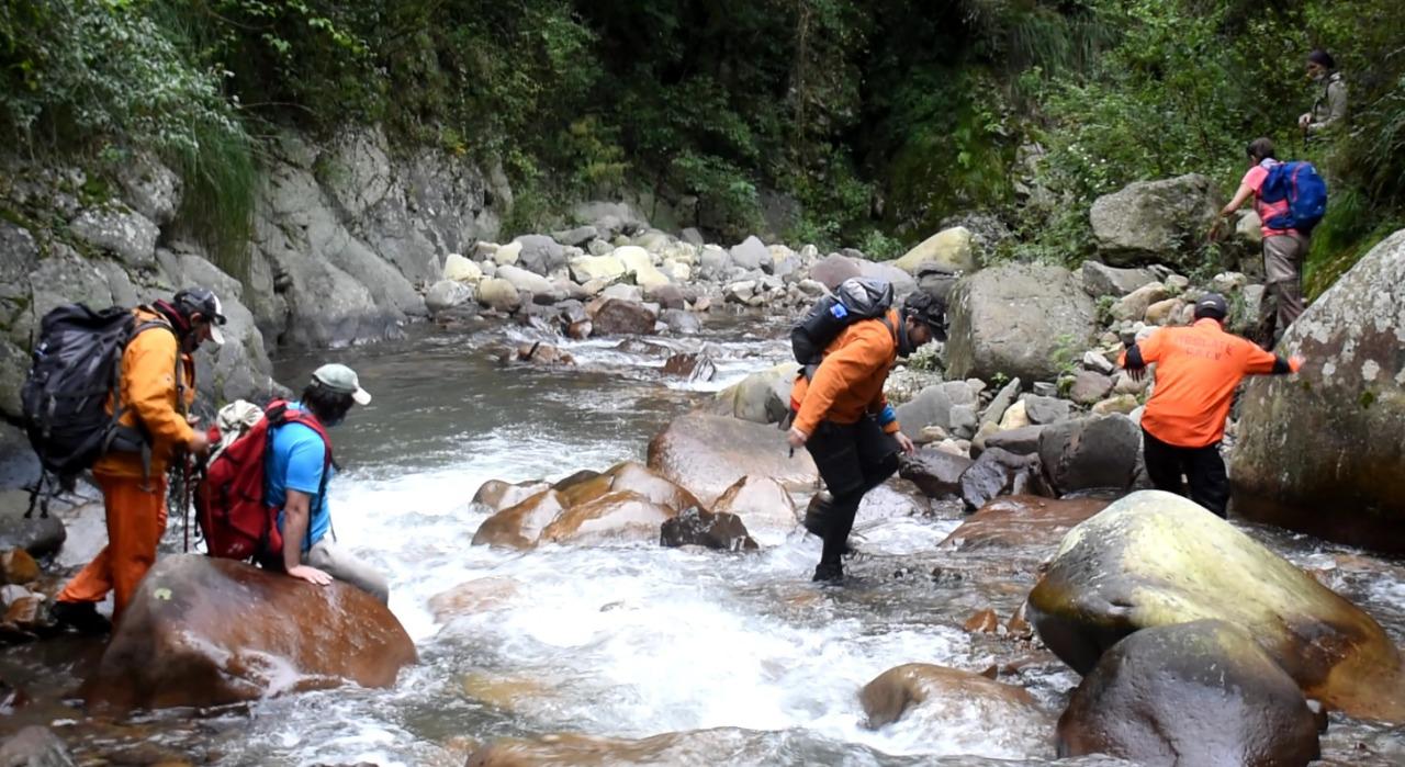 analia ibañez fabiana cari