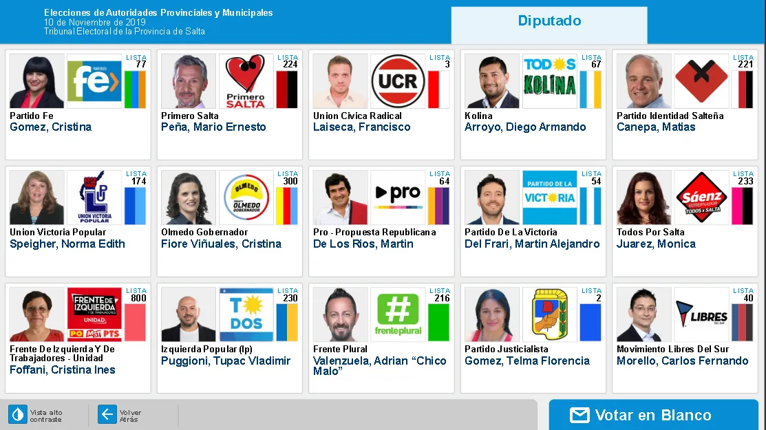 simuladro - diputados capital