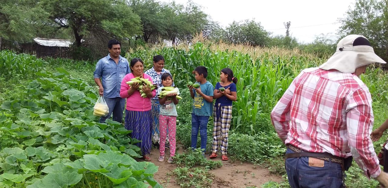 huertas familiartes 4