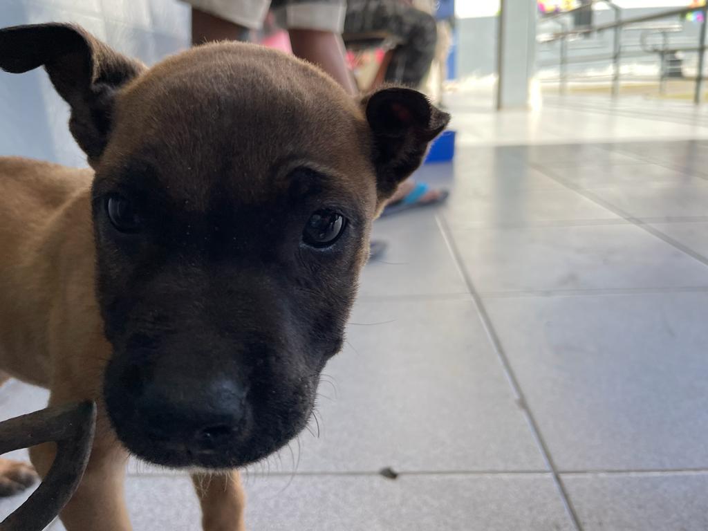 WhatsApp Image 2023-09-11 at 10.58.48