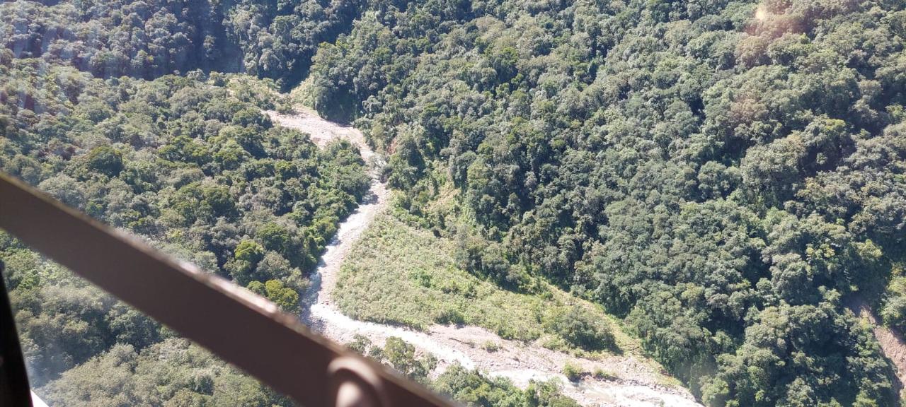 Búsqueda de Gastón