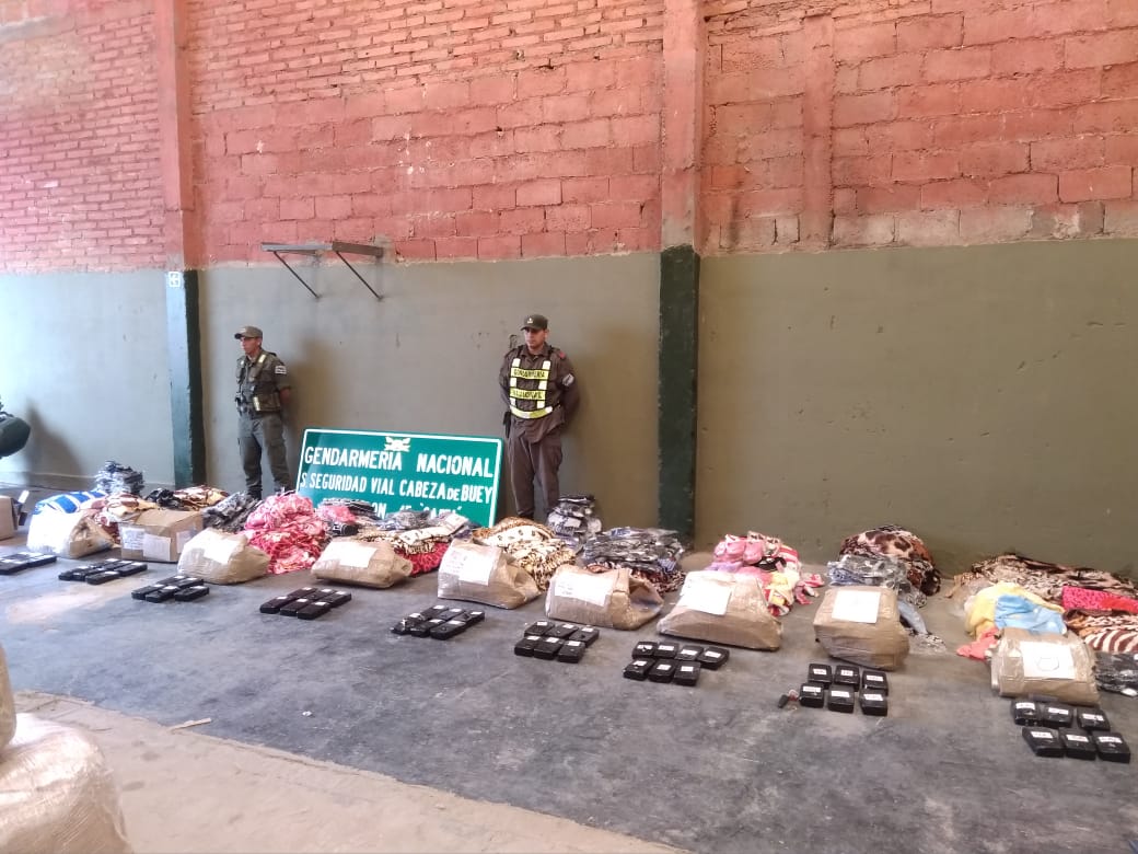 perros detectores de droga2