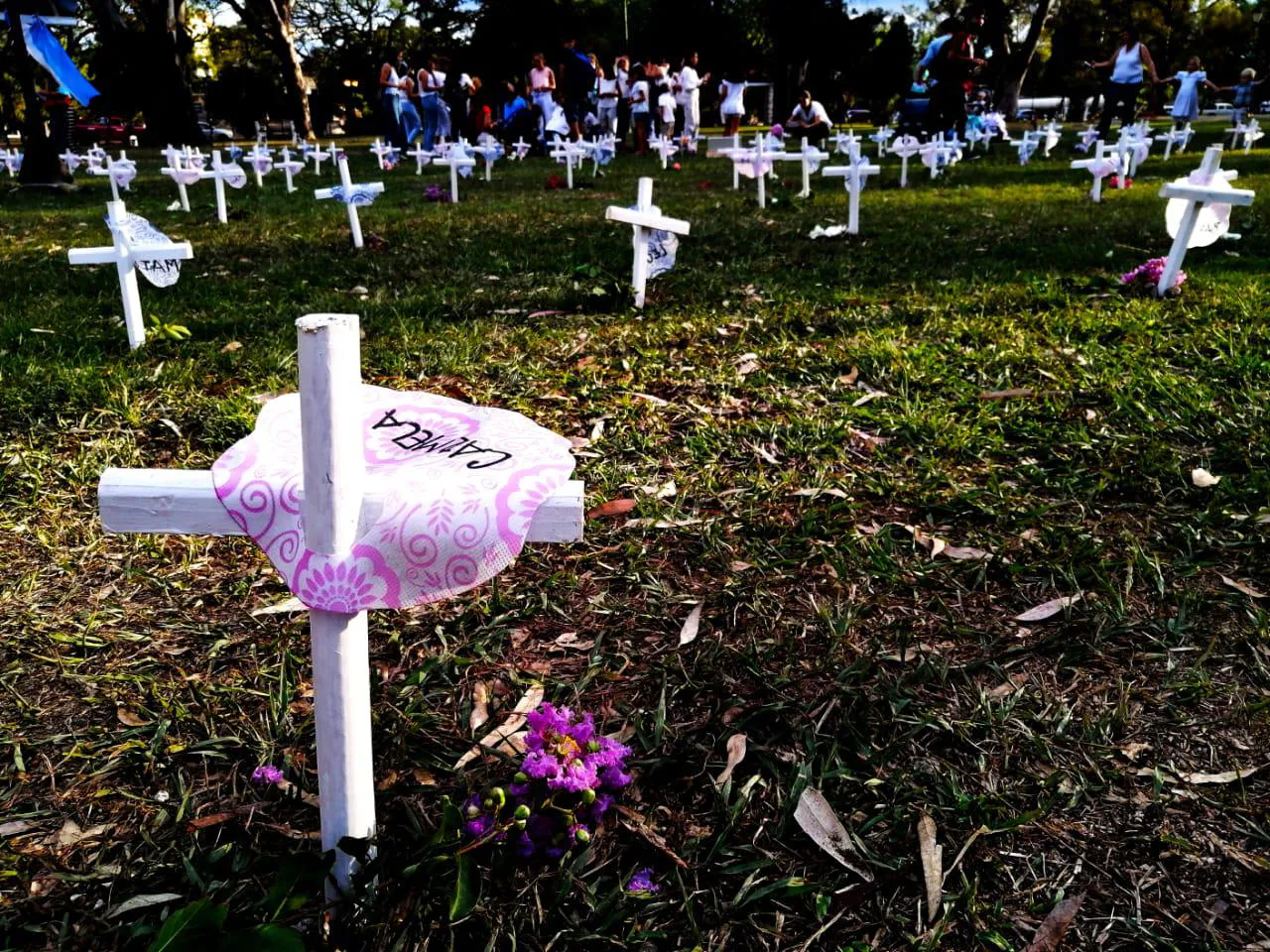 provida manifestacion materno