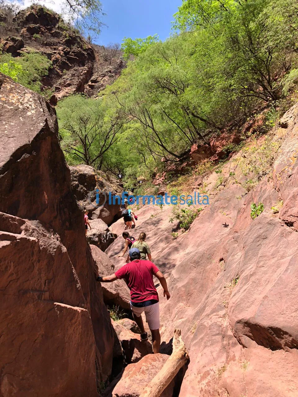 WhatsApp Image 2020-12-16 at 11.04.37