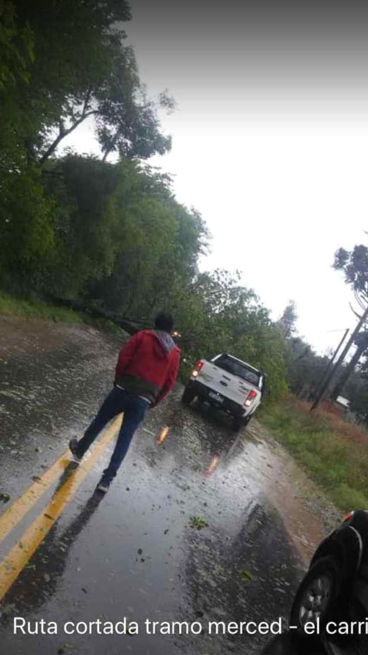 fotos granizo en salta (3)