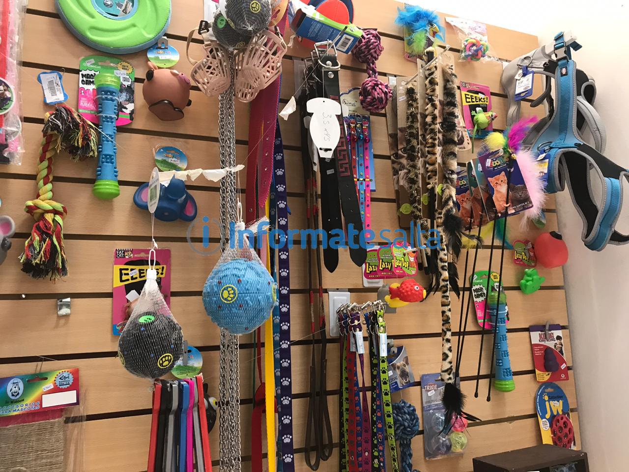 WhatsApp Image 2019-11-08 at 09.45.16