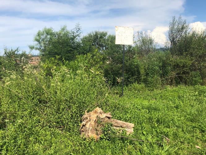 yuyos Grand Bourg (6)