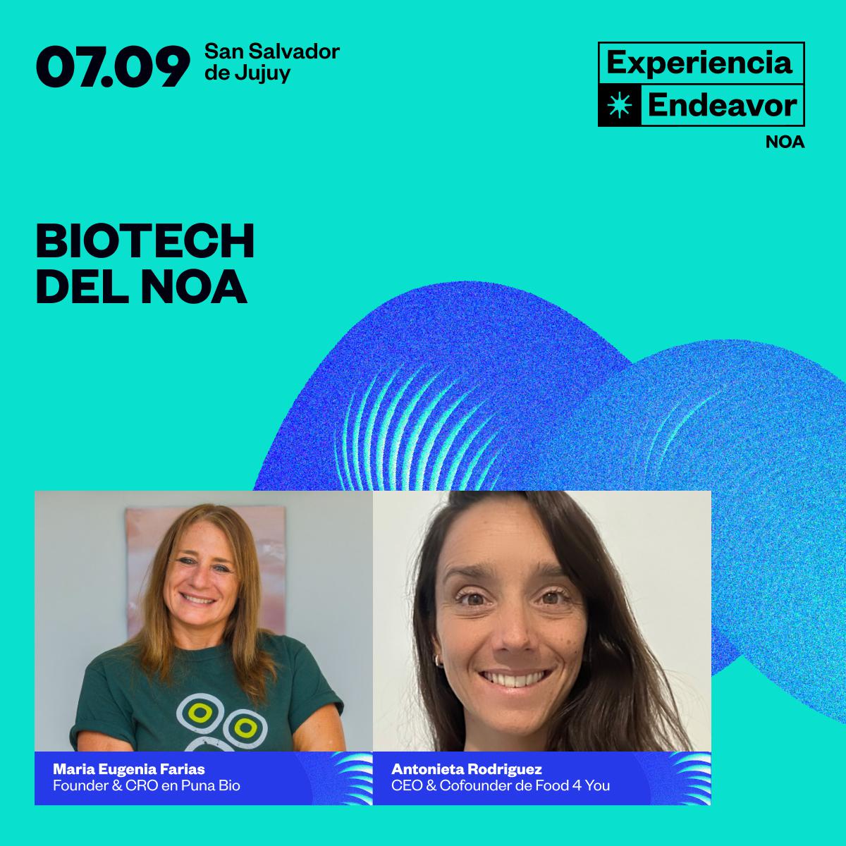 EXPERIENCIA ENDEAVOR