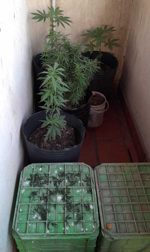 secuestroME22-611x1024