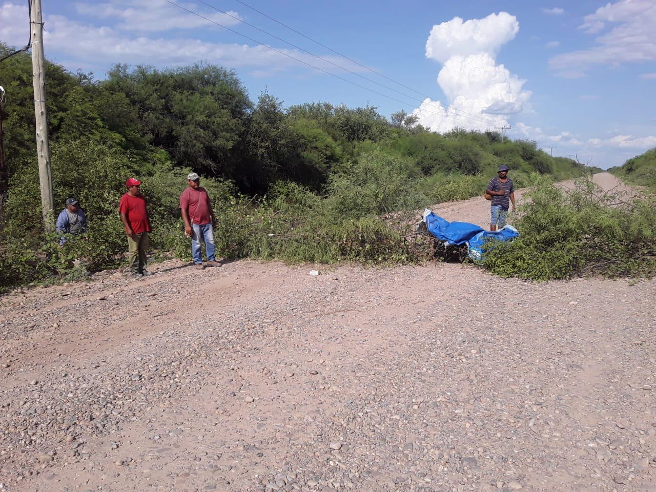 WhatsApp Image 2022-01-27 at 11.42.15