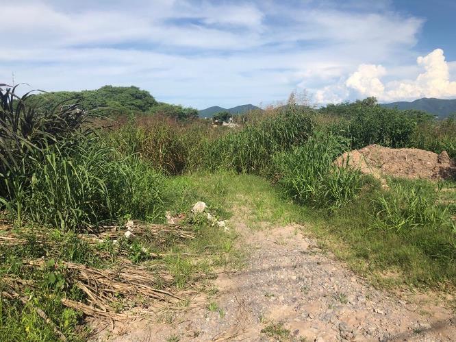 yuyos Grand Bourg (1)