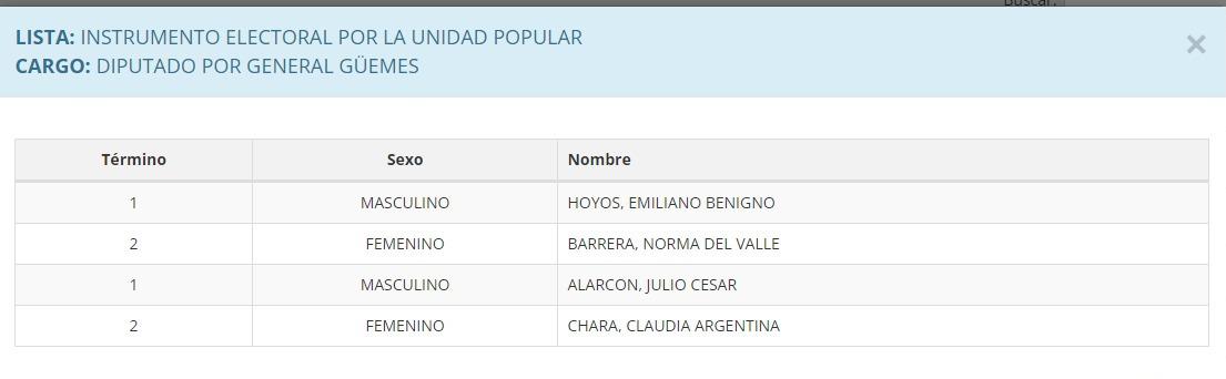 Instrumento electoral - Dip  Guemes