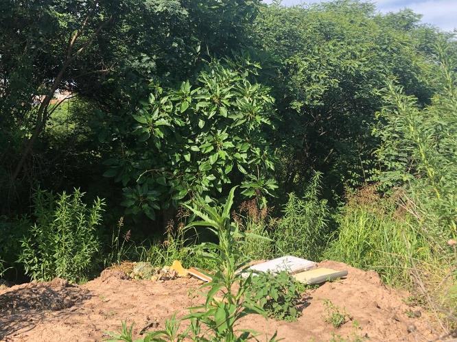 yuyos Grand Bourg (7)