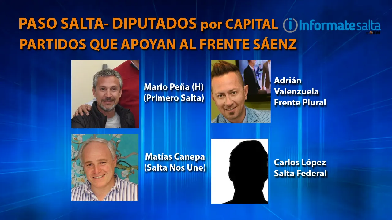 F SAENZ - Partidos que apoyan con un solo candidato