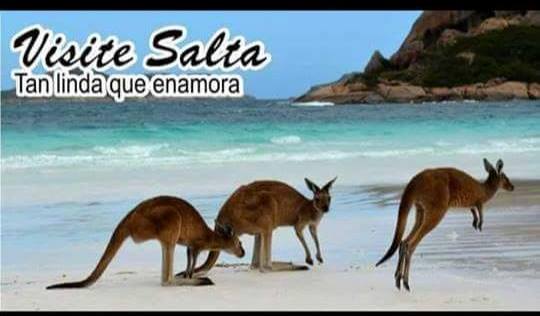 gastada a salta de jujuy 