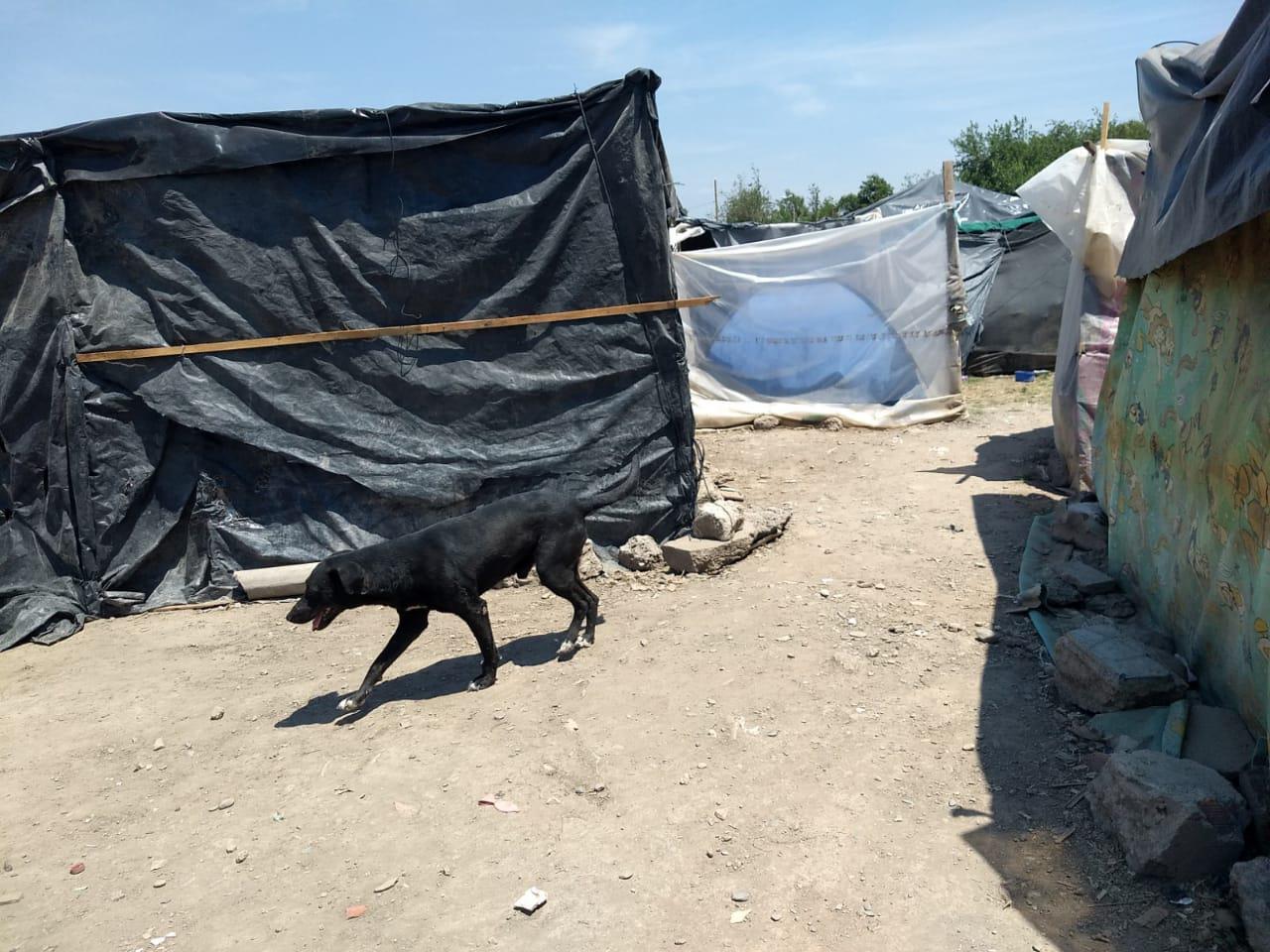 WhatsApp Image 2020-11-09 at 10.34.09 AM