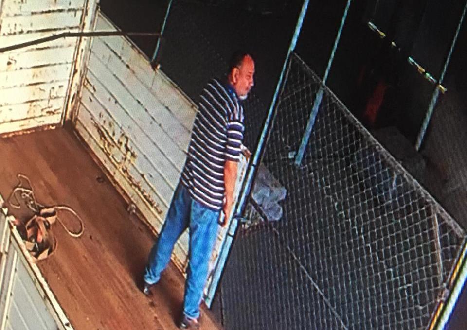 Robo nutribras diputado singh 2