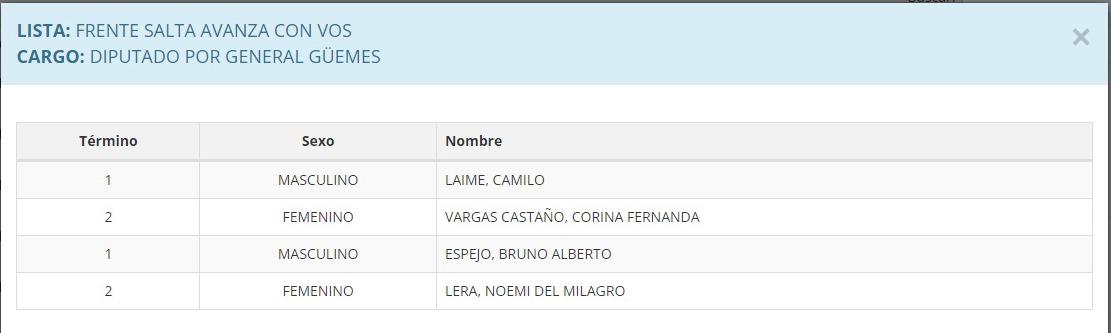 Salta Avanza con vos - Dip Guemes