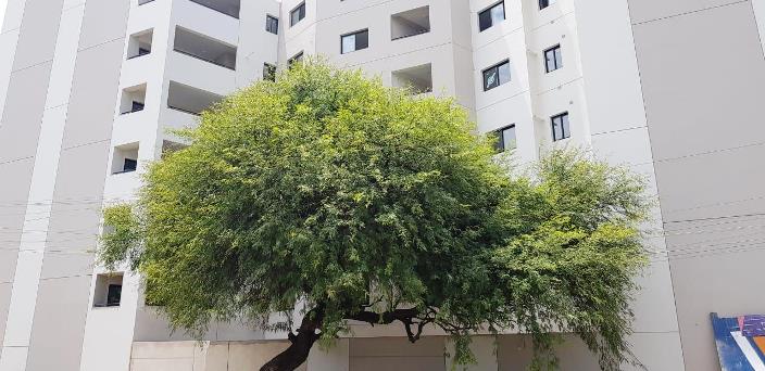 edificio Grow live mitre (3)