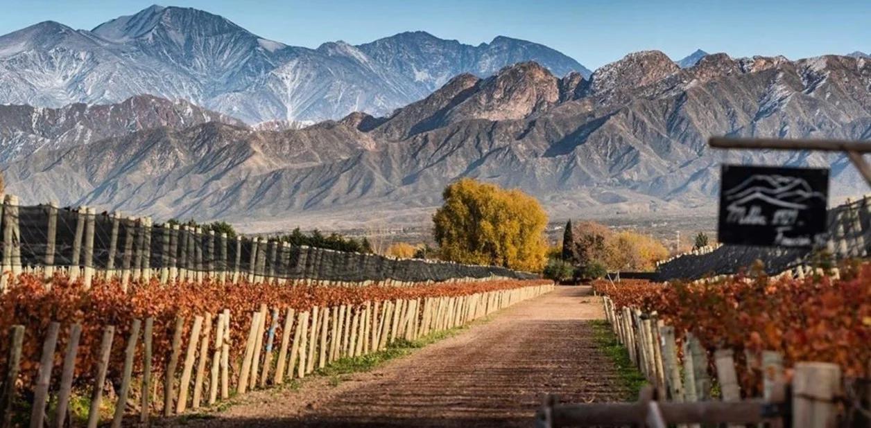 mendoza turismo