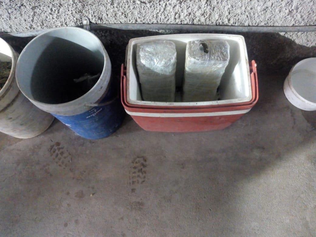 Plantación Marihuana La Caldera 03