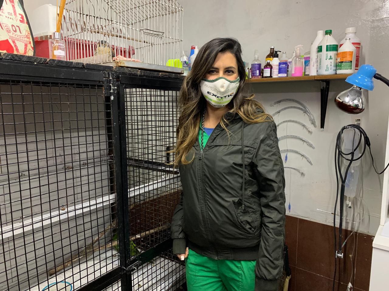 veterinaria animales exóticos4