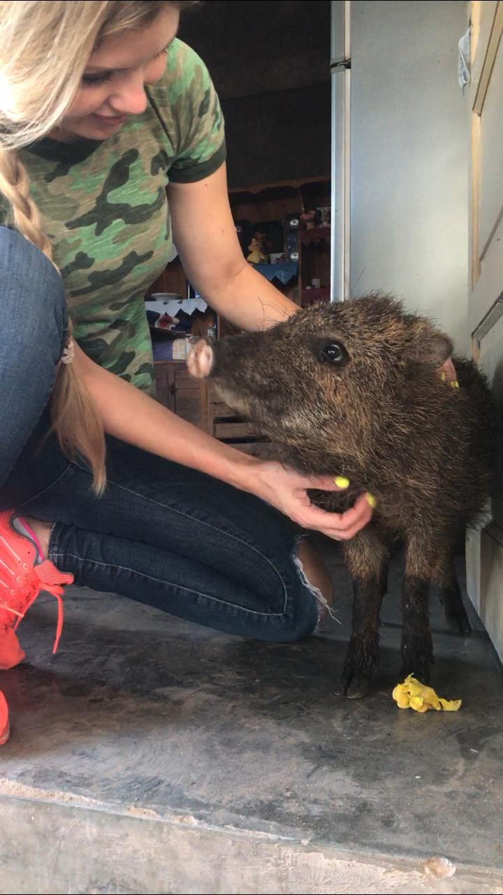 WhatsApp Image 2019-04-30 at 18.27.05